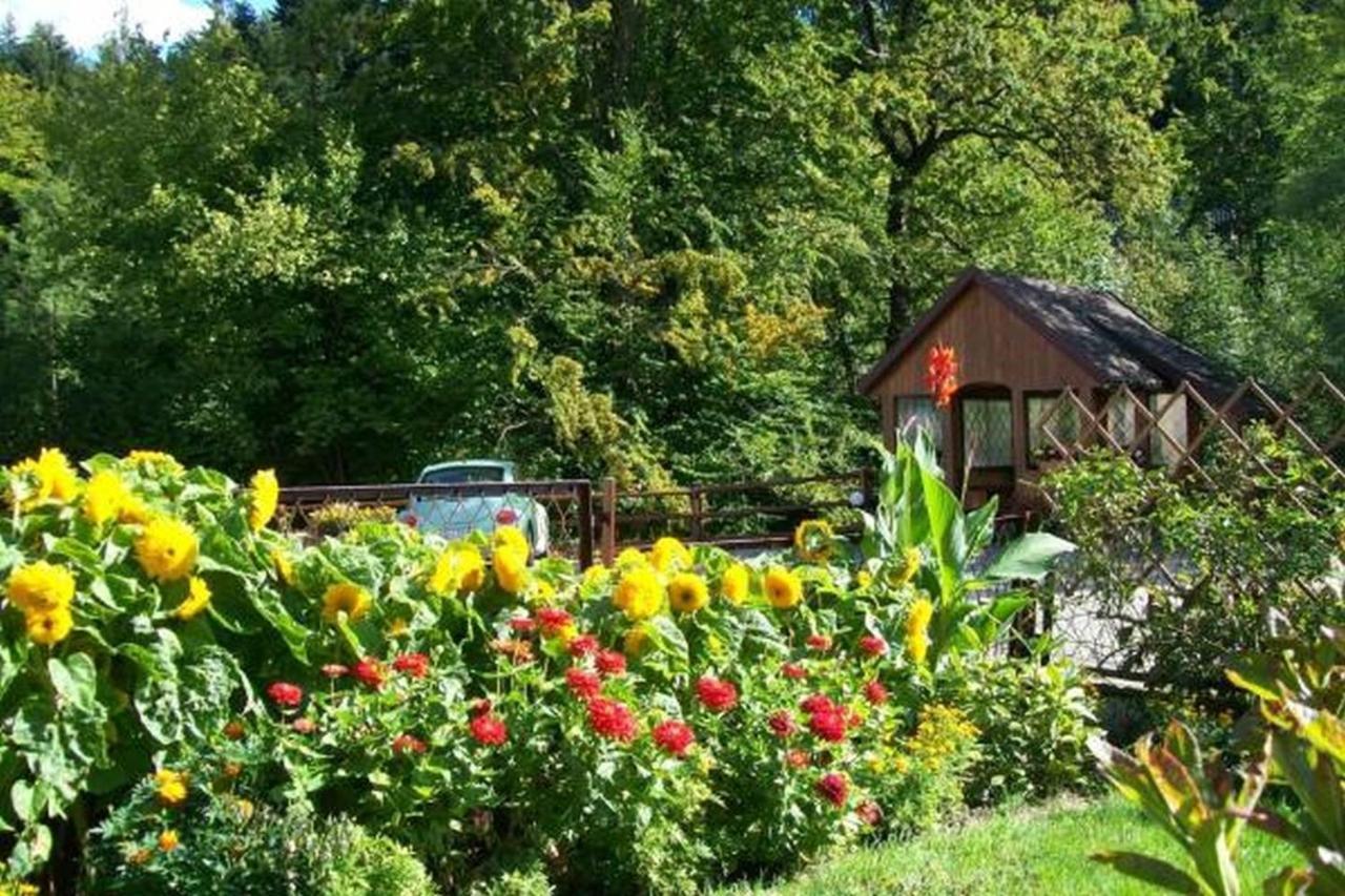 Apartament I Pokoje Goscinne U Lusi Weichsel Exterior foto